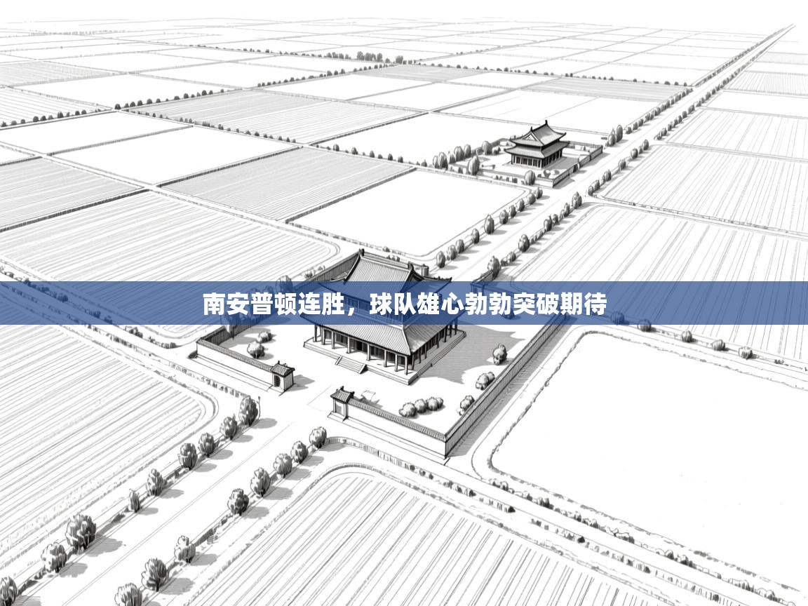 南安普顿连胜，球队雄心勃勃突破期待  第1张